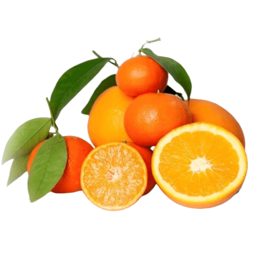 Naranjas de y Mandarinas - La Naranja Fallera - Naranjas de Valencia Online